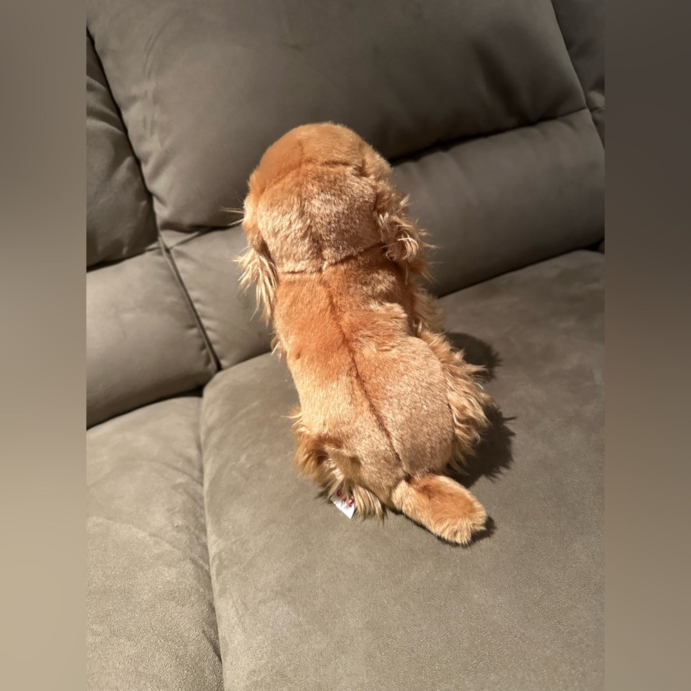 Webkinz Signature Cocker Spaniel Plush (no code) - Picture 4 of 8